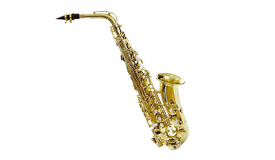 Saxofon Alto Profesional En Mi B (Eb)